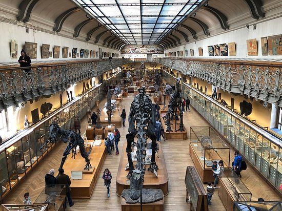 Museo di Storia Naturale